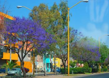 Casas de vacaciones y departamentos en renta en Aguascalientes - HomeToGo