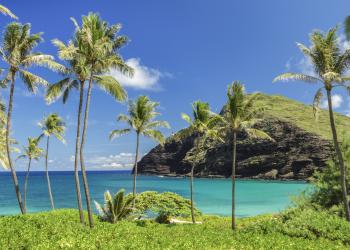 Wunderschöne Ferienhäuser auf der Insel Oahu - HomeToGo