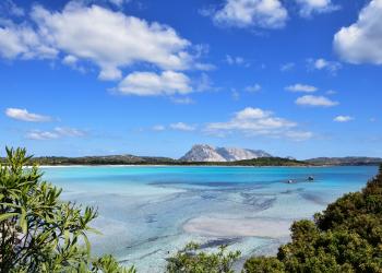 San Teodoro in casa vacanze: spiagge caraibiche e vivace vita notturna - HomeToGo