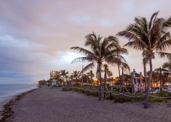 Condos in Hollywood - HomeToGo
