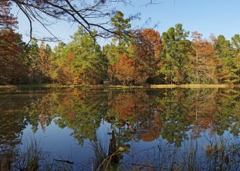 South Carolina State Parks - HomeToGo
