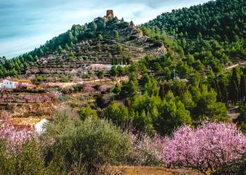 Casas rurales en Alicante - HomeToGo