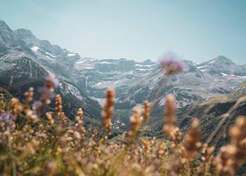 Locations de vacances et hébergements à Gavarnie - HomeToGo