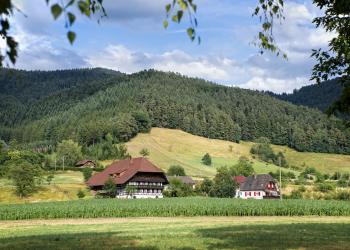 Bauernhofurlaub in Baden-Württemberg - HomeToGo