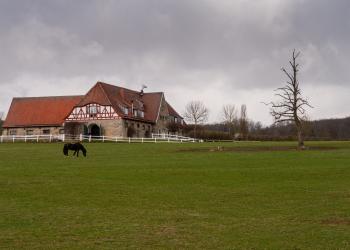 Bauernhofurlaub im Harz - HomeToGo
