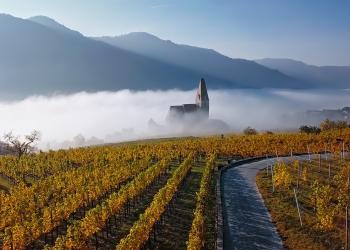 Bauernhofurlaub in Österreich - HomeToGo