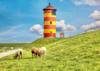 Bauernhofurlaub in Ostfriesland - HomeToGo
