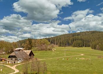 Bauernhofurlaub im Schwarzwald - HomeToGo