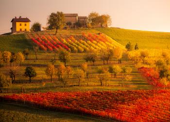 Agriturismo in Italien - HomeToGo