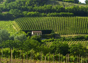 Agriturismo in der Lombardei - HomeToGo