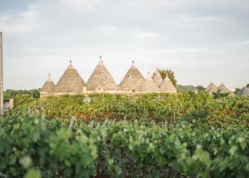 Agriturismo in Apulien - HomeToGo