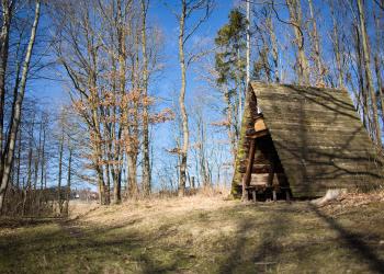 Harz Hütte mieten - HomeToGo