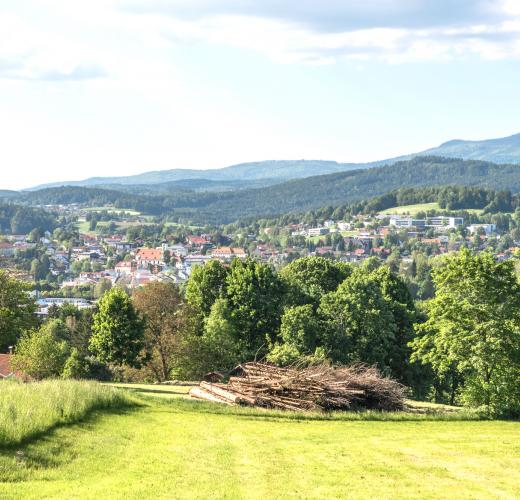 Ferienwohnungen Ferienhauser Fur Urlaub In Dingolfing Ab 29