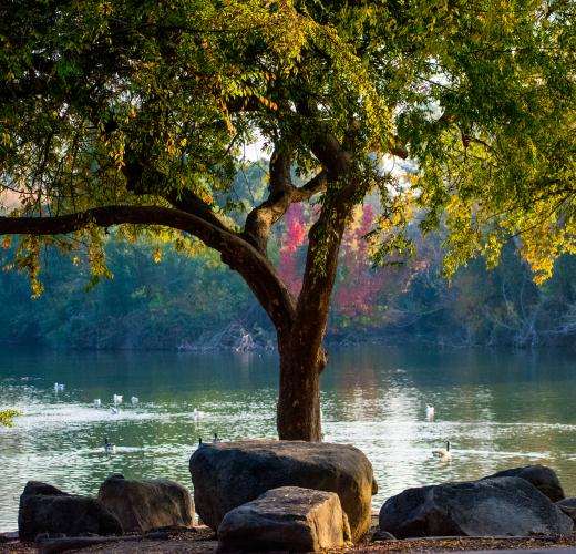 Shaver Lake Cabins Vacation Rentals From 59 Hometogo