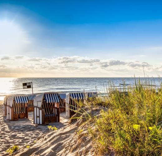 Ferienwohnungen Ferienhauser An Der Ostsee Ab 33 Mieten