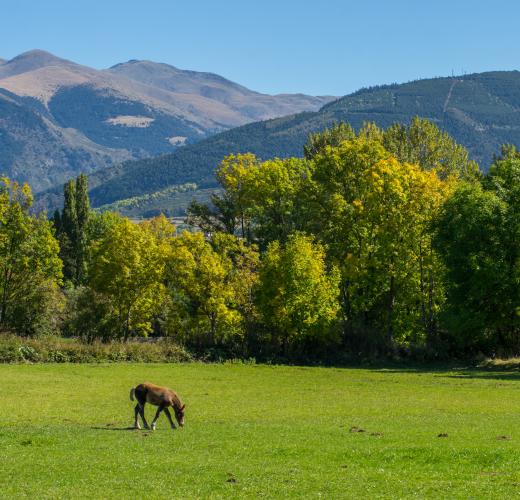 Apartamentos Y Casas Rurales En La Cerdanya Desde 73 Hometogo