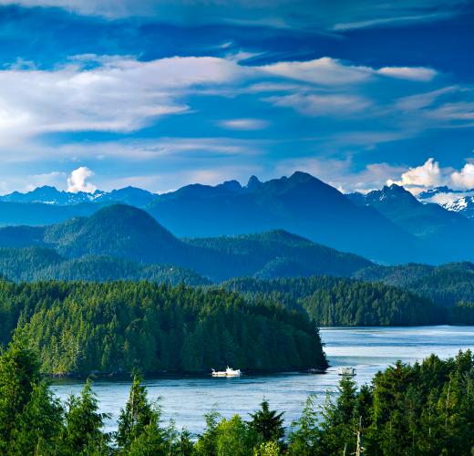 Ferienwohnungen Ferienhauser Fur Urlaub In Vancouver Island Ab 40