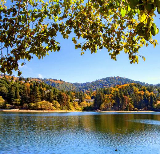 Green Valley Lake Vacation Rentals from 161 HomeToGo