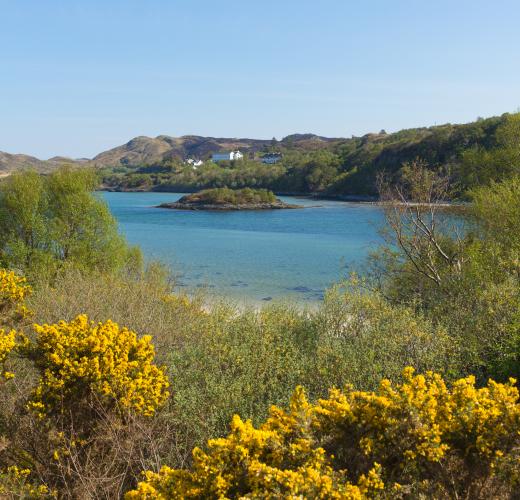 Find holiday homes & self catering in Mallaig from £45!