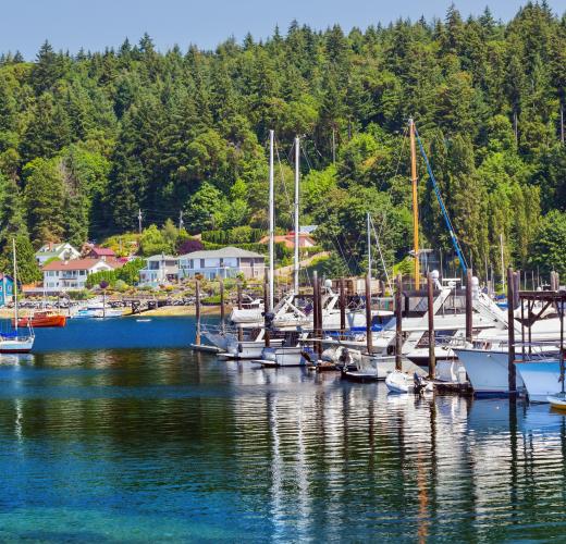 Gig Harbor House Rentals & Vacation Rentals from $116 | HomeToGo