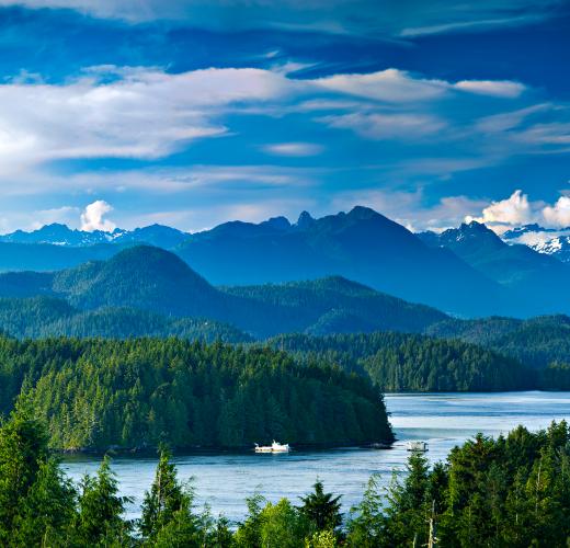 Ferienwohnungen & Ferienhäuser In Vancouver Island Ab CHF 70 - HomeToGo.ch