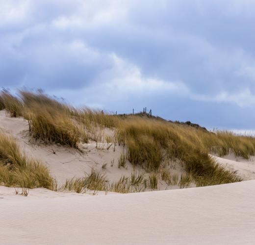 Top Unterkünfte für Silvester auf Norderney | HomeToGo