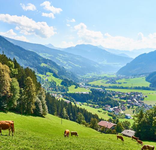 Ferienwohnungen & Ferienhäuser in Tirol  Casamundo