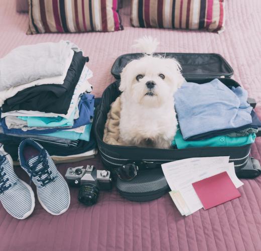 Dog Friendly Holiday Cottages in Skegness HomeToGo