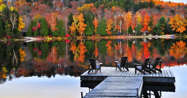 Enjoy Canada's beautiful Algonquin Park from your own vacation rental - HomeToGo