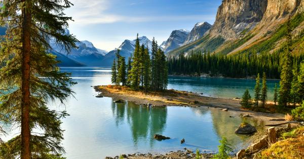 Explore the Canadian Rockies with a vacation rental in Jasper - HomeToGo
