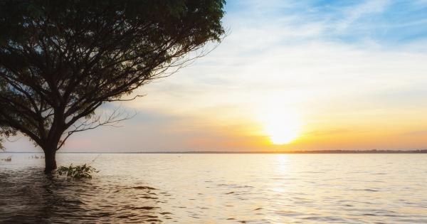 Enjoy the elegance of your dream vacation home in Tahoe City - HomeToGo