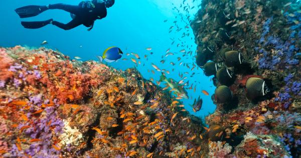Diving Holidays in Egypt - HomeToGo