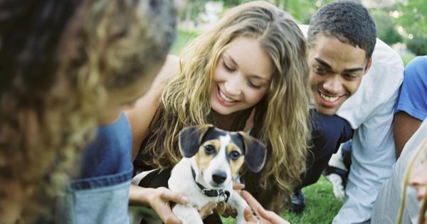Gruppenreisen mit Hund - HomeToGo