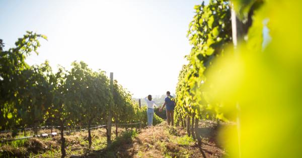 Week-end en amoureux en France - HomeToGo