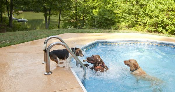 Hundefreundliches Ferienhaus mit Pool - HomeToGo