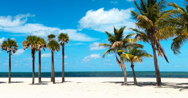House Rentals in New Port Richey - HomeToGo