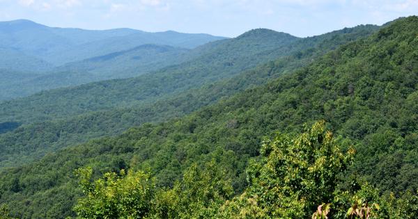 Cabins in Dahlonega - HomeToGo