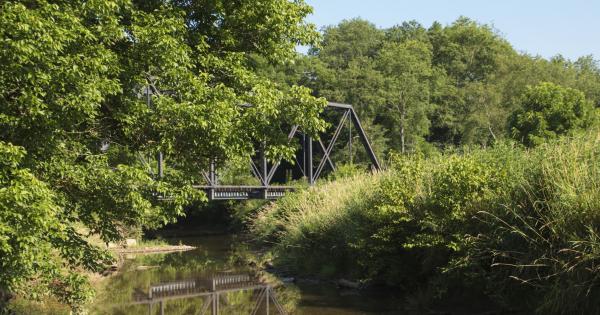 Explore Mountains and Forests with an Elkins Vacation Rental - HomeToGo