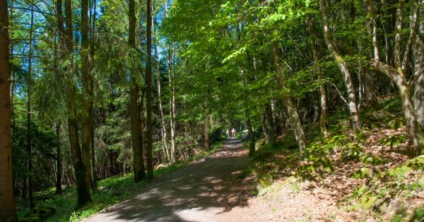 Deine Ferienwohnung in Schierke am Brocken - HomeToGo