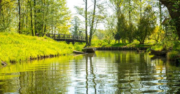 Burg (Spreewald) - HomeToGo