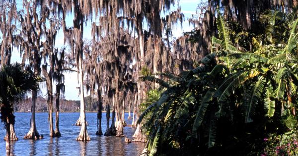 Discover beautiful vacation rentals in Winter Haven, Florida - HomeToGo