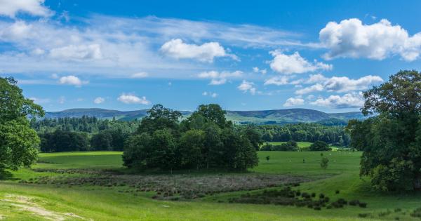 Enjoy outdoor life from the holiday cottages of Galloway Forest Park - HomeToGo