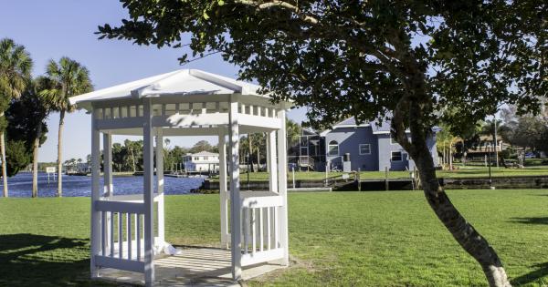 Play with gentle manatees at waterside vacation rentals in Homosassa - HomeToGo