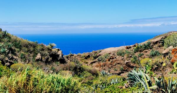 Apartamentos y alojamientos El Palmar, Tenerife - HomeToGo