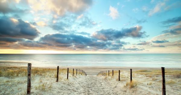 Een vakantiehuisje achter de Noord-Hollandse duinen bij Julianadorp - HomeToGo