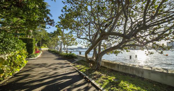 Experience a tropical adventure with vacation rentals in Lake Placid - HomeToGo