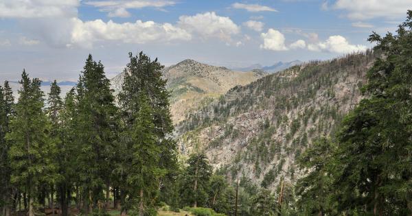 Stay at a peaceful vacation home by Nevada's Mount Charleston - HomeToGo