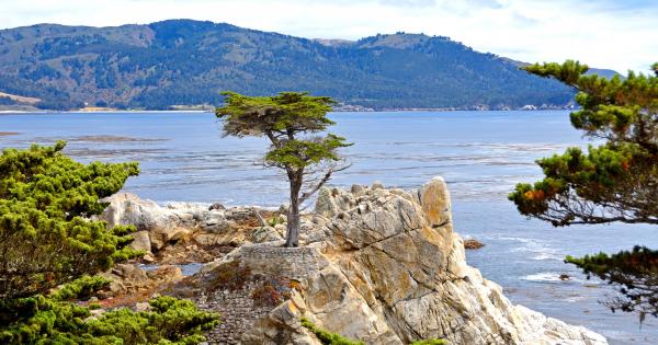 Vacation Rentals in Monterey - HomeToGo
