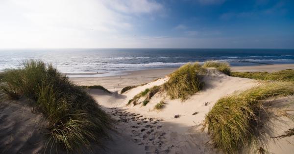 Zwischen Dünen und Nordsee: Ferien in der Ferienwohnung in Schoorl - HomeToGo