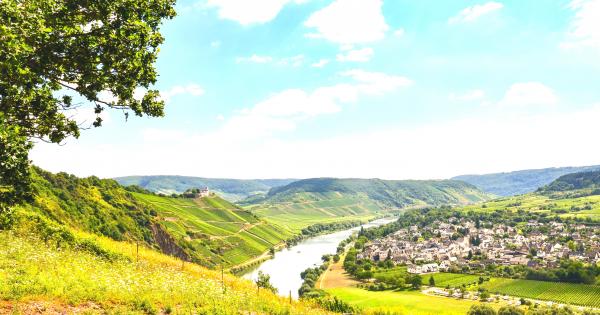Erholung und Abenteuer in einer Ferienwohnung am Niederrhein - HomeToGo